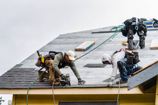 Professional Roof Replacement technician working in Saxapahaw, NC